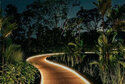 img-77-1-550x824